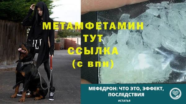 трава Горно-Алтайск