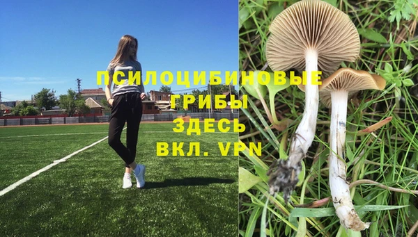 мдма Горнозаводск