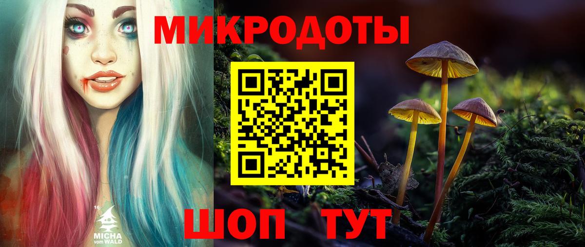 Москва  продажа наркотиков  Вход с VPN  Галлюциногенные грибы Psilocybine cubensis 